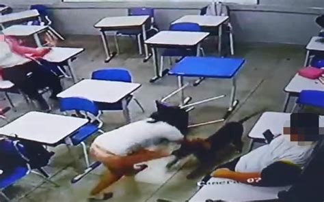 aluna cachorra|Cachorro ataca aluna dentro de sala de aula; vídeo é forte